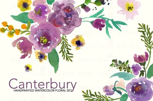 手绘水彩花卉植物设计元素 Canterbury-Waterc