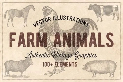 100幅手绘复古农场家禽家畜动物矢量插画 Vintage F