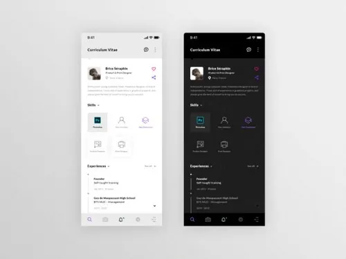 简历 Resume Mobile. IOS App