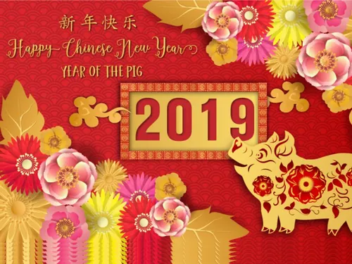 年中国猪年可爱卡通贺卡新年快乐年画海报素材