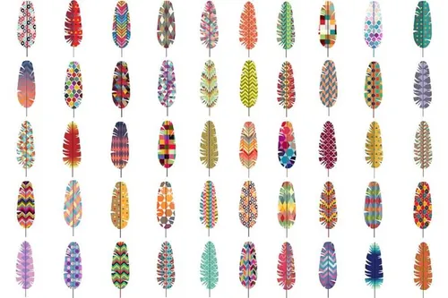 50 Feathers w/ Patterns Vector-amp; PNG