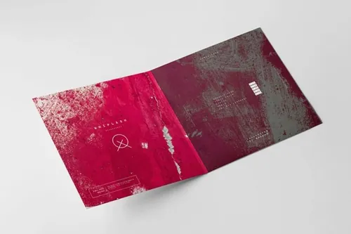 对折光碟宣传册包装样机模板 Vinyl Mock-up 2