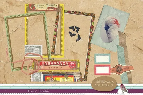 复古框架Havana Collection Digital Clip Art