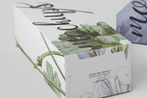 纸盒包装外观设计样机模板14 Paper Box Mockup 14