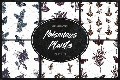 有毒植物和花卉图案 Poisonous Plants  Fl