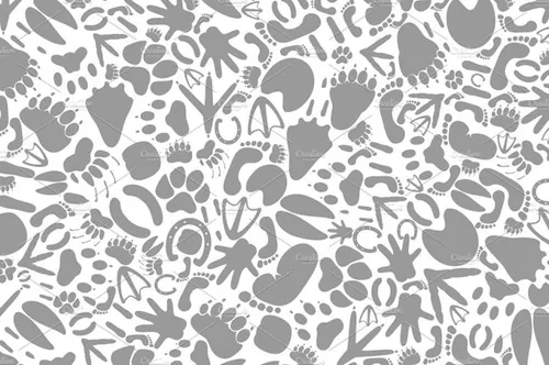 动物的脚印设计背景Background traces of animals