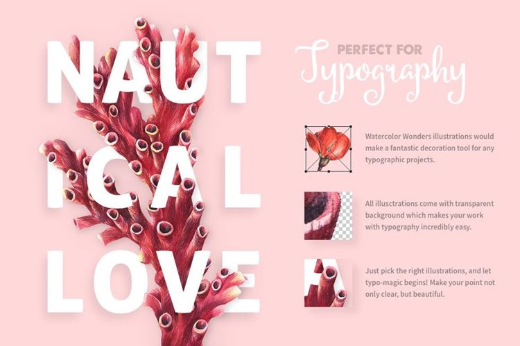 海洋主题矢量花卉海洋生物插图素材 Antique-Botan