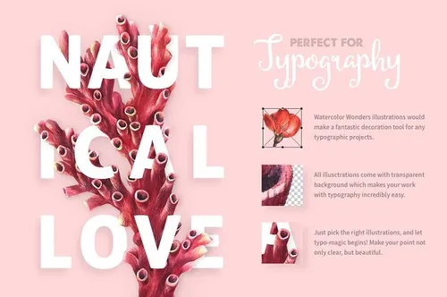 海洋主题矢量花卉海洋生物插图素材 Antique-Botan