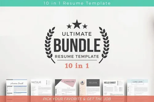 价值$300美元的简历合集包 10 in 1 Resume Templates Bundle
