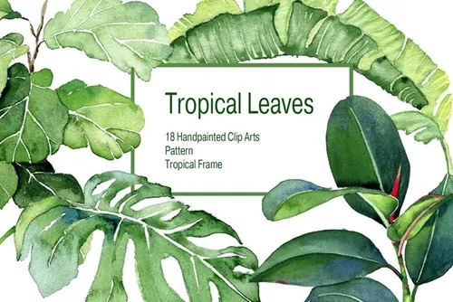 水彩热带手绘植物设计素材 Tropical_Leaves_W
