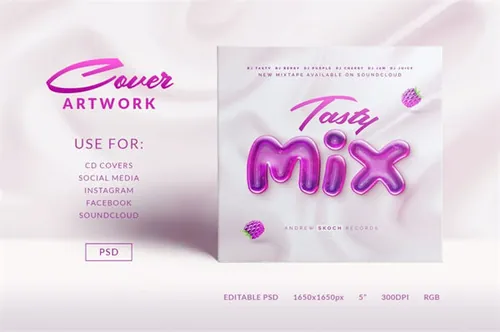 高端美味CD光盘包装封面设计VI样机展示模型