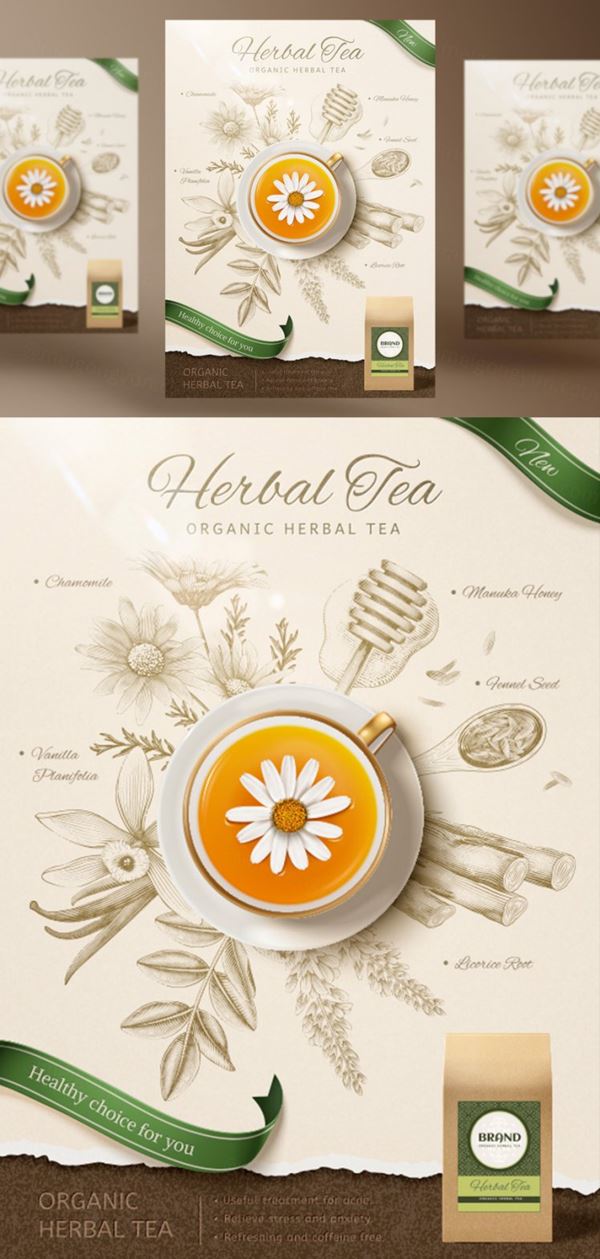 洋甘菊花茶草本有机消炎健康茶包AI矢量海报模板 Brand Chamomile Tea