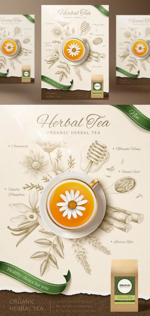 洋甘菊花茶草本有机消炎健康茶包AI矢量海报模板 Brand Chamomile Tea