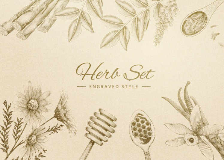 洋甘菊花茶草本有机消炎健康茶包AI矢量海报模板 Brand Chamomile Tea