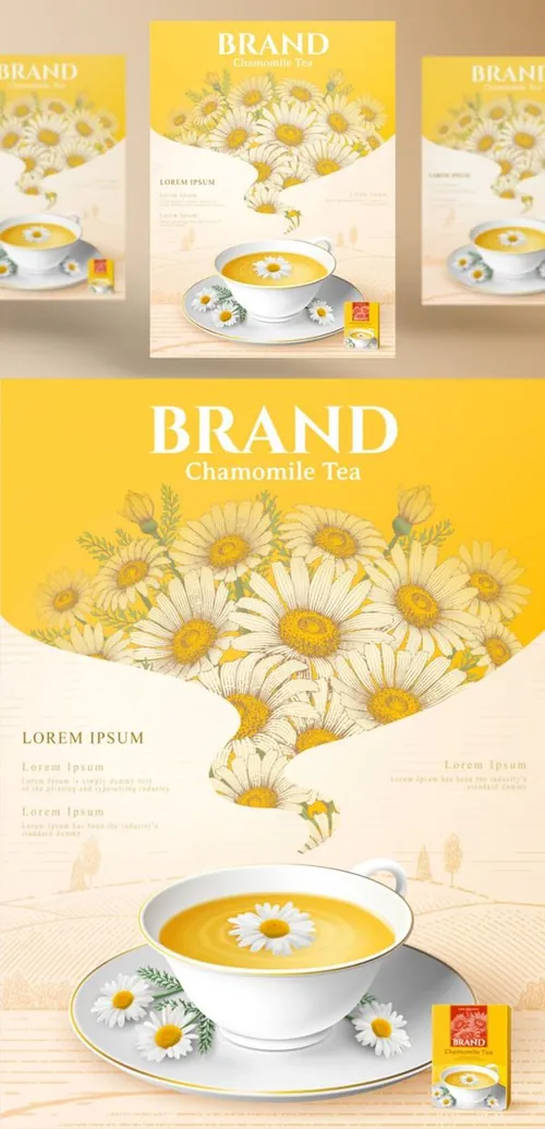 洋甘菊花茶草本有机消炎健康茶包AI矢量海报模板 Brand Chamomile Tea