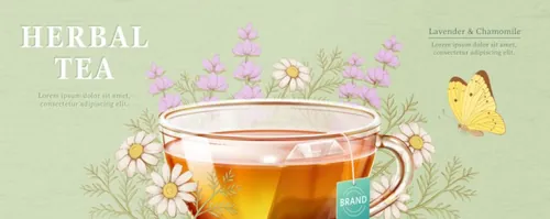 洋甘菊花茶草本有机消炎健康茶包AI矢量海报模板 Brand Chamomile Tea