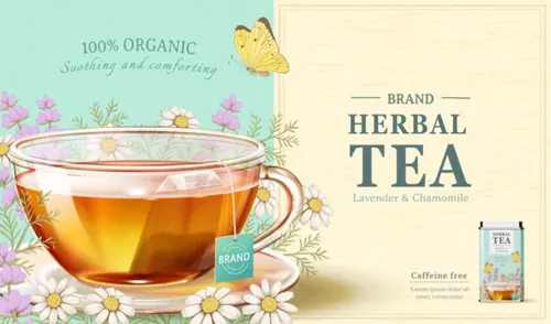 洋甘菊花茶草本有机消炎健康茶包AI矢量海报模板 Brand Chamomile Tea