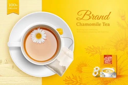 洋甘菊花茶草本有机消炎健康茶包AI矢量海报模板 Brand Chamomile Tea