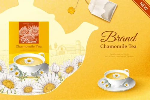 洋甘菊花茶草本有机消炎健康茶包AI矢量海报模板 Brand Chamomile Tea