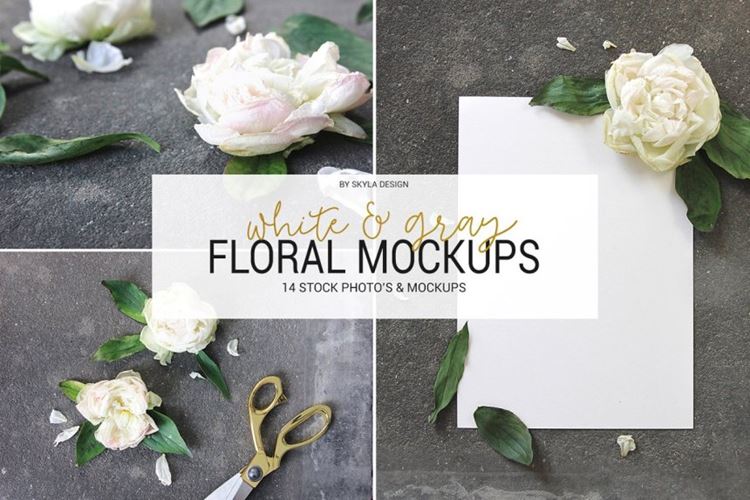 深灰色背景的白色花卉素材 Mockups  stock White  Gray floral