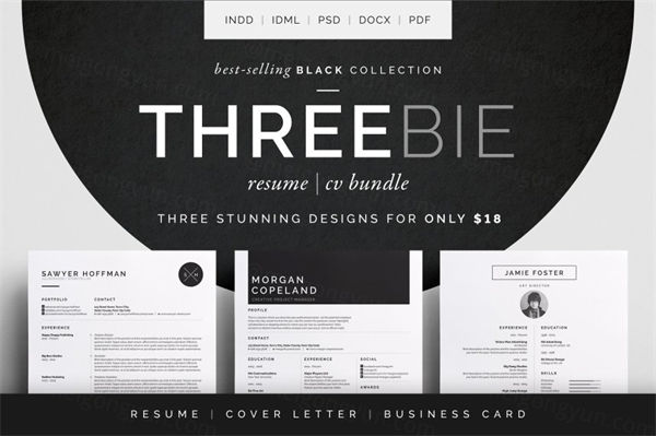 简约高端简历模板合集包 Resume/CV - Threebie Bundle 1