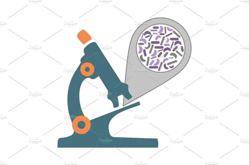 显微镜矢量插图microscope bacteria