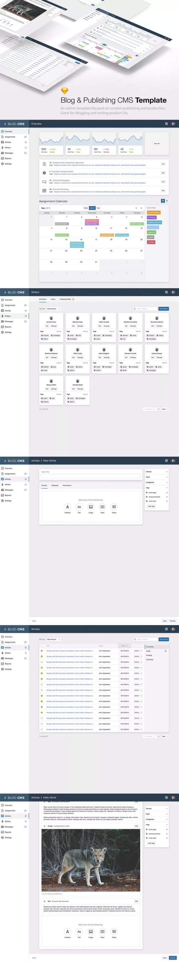Blog  Publishing CMS管理模版（for Sketch