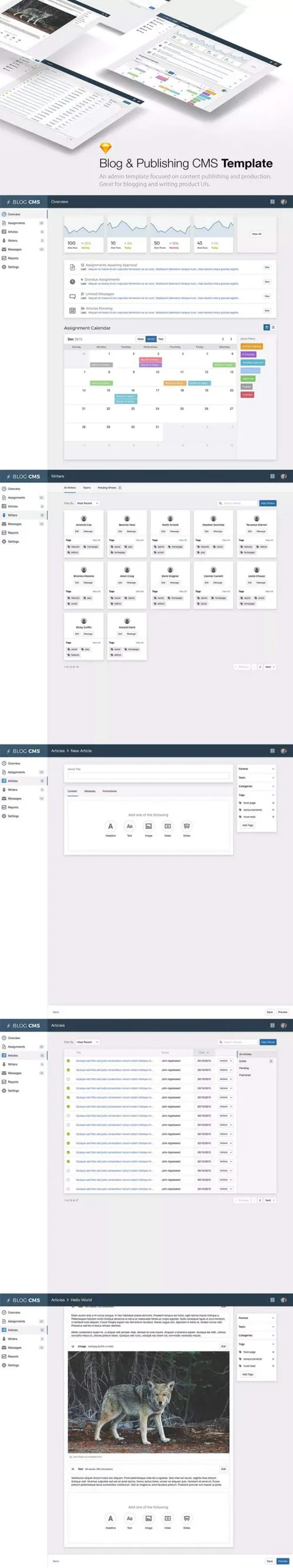 Blog  Publishing CMS管理模版（for Sketch