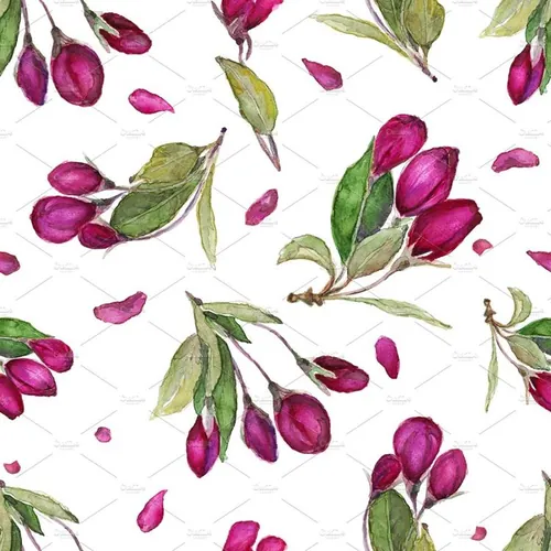 手绘水彩花卉图案背景Watercolor seamless floral pattern.