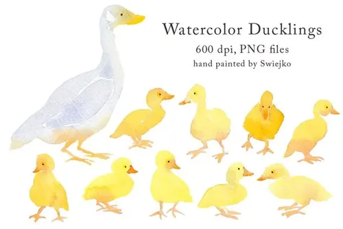 鸭子手绘水彩剪贴画 Country Clipart – Du