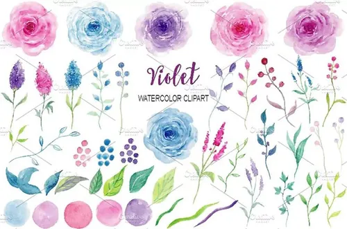 紫色水彩花卉 Watercolor Clipart Viol