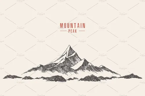 手绘山峰矢量插图Mountain peak with the pine forest