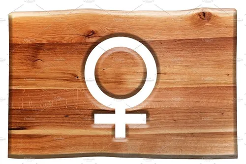 木头女性标志设计元素Female symbol cut in wooden board.