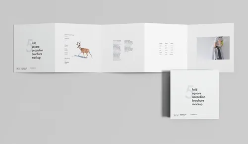 5折方形手风琴折叠式宣传册设计效果图样机 5 Fold Square Accordion Brochure Mockup