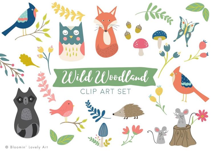 可爱的林地动物Woodland Animal Clip Art
