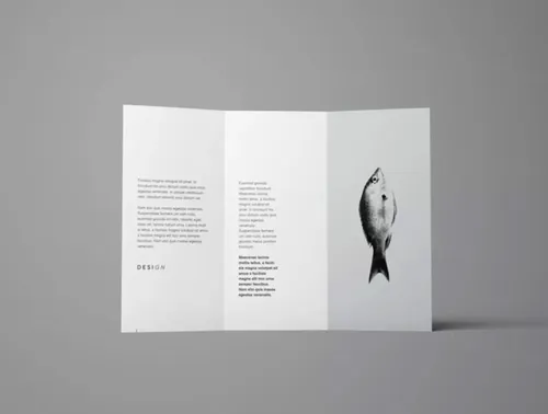 一套完整的不同的角度三折页小册子样机