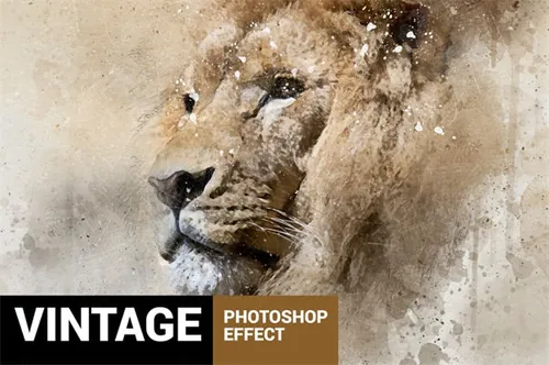 照片转丙烯酸水彩画PS动作笔刷插件 Perfectum - Vinta