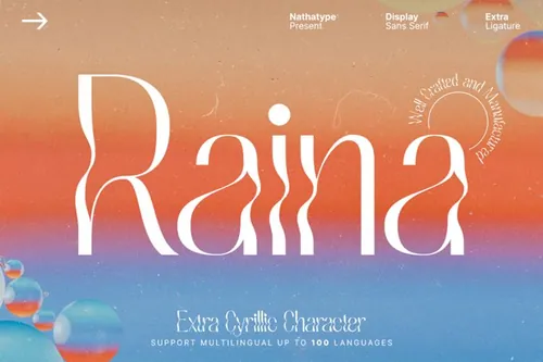 优雅独特的女性品牌设计海报排版英文字体 Raina Font