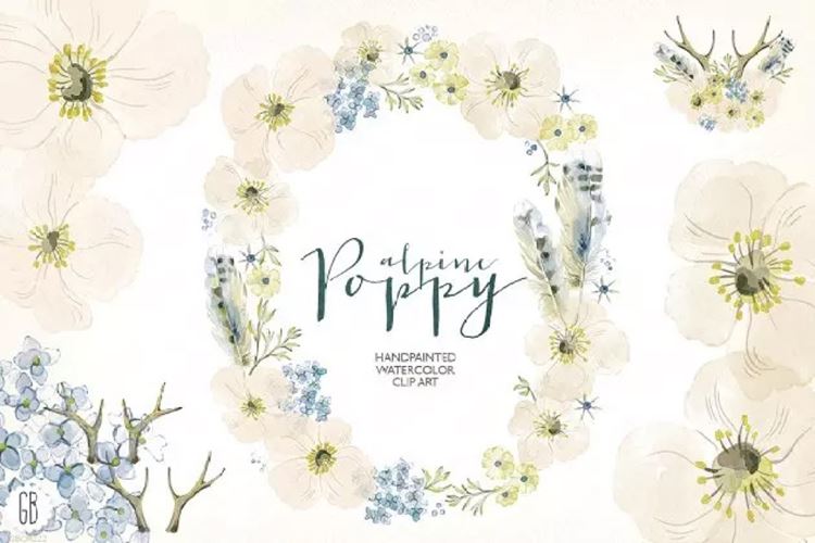 罂粟花环水彩插画 Watercolor alpine pop
