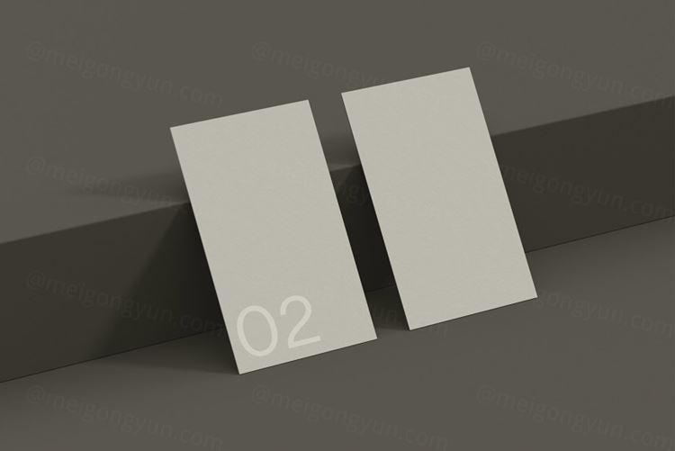 高品质商务名片品牌设计提案样机PSD模板 Business Card 02 Standard Mockup