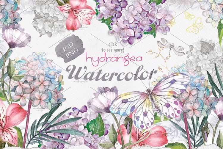 八仙花水彩剪贴画素材 Hydrangea flowers