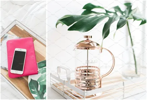 小资格调场景样机合集 MASSIVE Tropical St