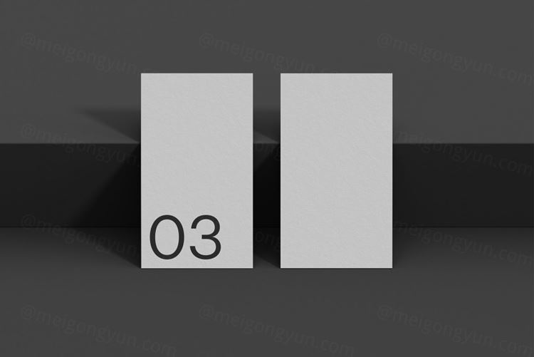 高品质商务名片品牌设计提案样机PSD模板 Business Card 03 Standard Mockup