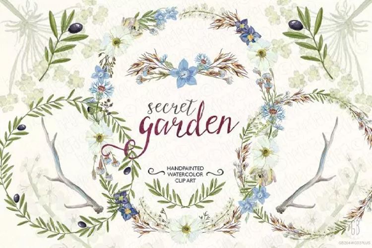 橄榄枝 野花花环水彩插画 Watercolor wildfl