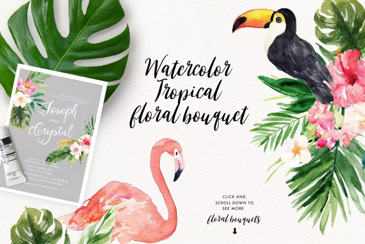 热带夏季手绘  Summer Design Set-Trop