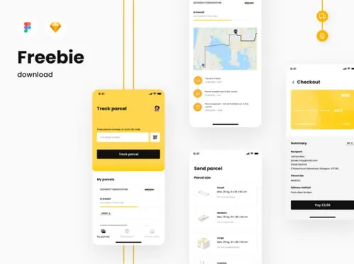 快递物流包裹预约支付APP UI界面素材 Parcel Deliver