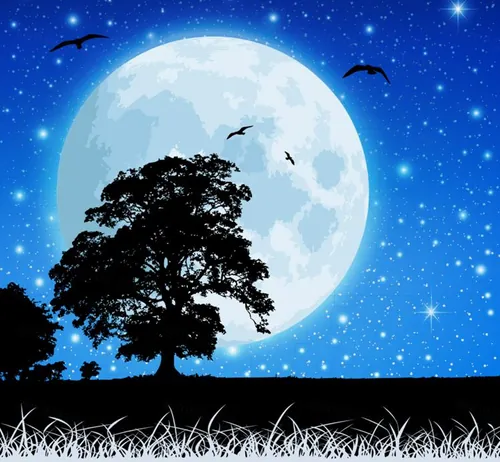 中秋节月亮星空夜景美丽乡村风景草地景观背景矢量设计素材Moon and Night Sky