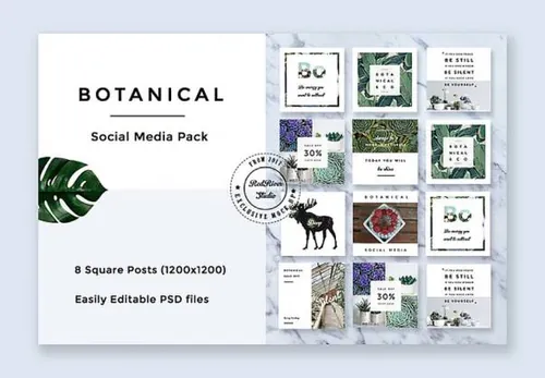 多尺寸热带植物绿叶多肉故事分享打折促销广告图海报PSD模板Botanical S