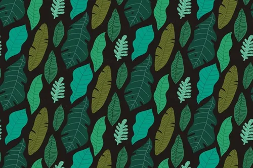 热带树叶花卉植物手绘矢量插画素材合辑包 Tropical L