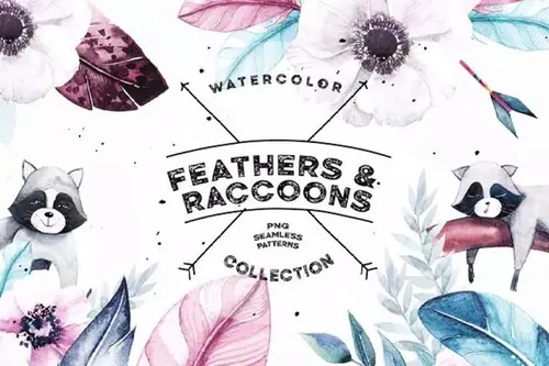 羽毛和浣熊水彩剪贴画 Watercolor Feathers